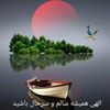 alireza.sanayei