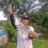 qlaangler