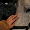 موجووعة❤️‍🩹