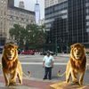 abel.garcia4704