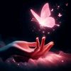angel.saima08