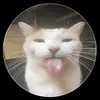oooolekk