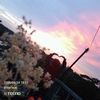 fariba_tasnim
