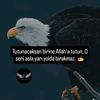 usera112536