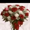 user87908029101204