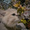 solmaz023023