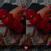 sadaf.fatima64
