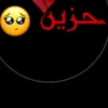 user94133500527415