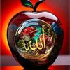 user9610611109950