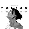 falcon__quotes