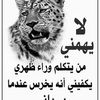 user15077466942463