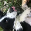 lena_bobby23