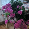 evagalatova60