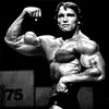 victory5379