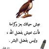 user6230906626951