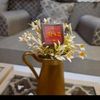 zohur.alqady