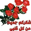user8204548161872