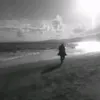 v.__ser1