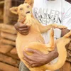 Centre of Love Animal Rescue