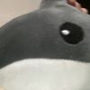 aly.sanchez83