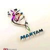 meryerm_0