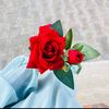 koka_ali25