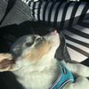 recruiter_katie1984
