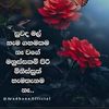 mallika56917