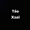 tao2107