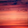 zozo_20158