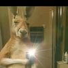fandepiero47puroy
