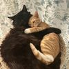 onyxandautumn