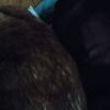 monehh_on_mymindd
