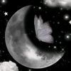 user5009001013721
