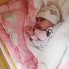 mohmeed.mohammed2