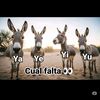 beniciorobinsonblanqueod