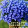 user9463366078527