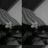 c._.288