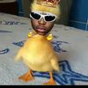 greater.of.aaravo