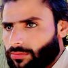 nasir.mehmood7527