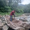 rajive.rajive56