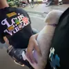 tit3337