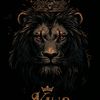 najam.rajput12