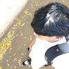 jassir.torrez8