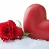 user39755011033220