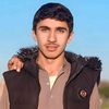 wadood635