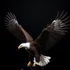 gabbar_8042