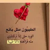 sara.zahra151