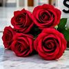 loyaltytestavailable7
