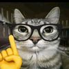 mewmayo0